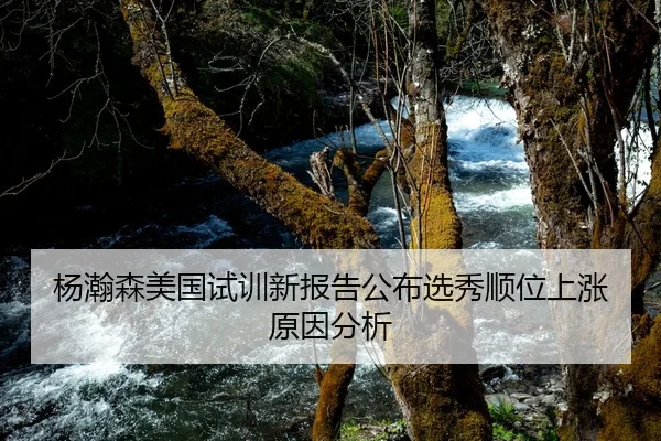 杨瀚森美国试训新报告公布选秀顺位上涨原因分析
